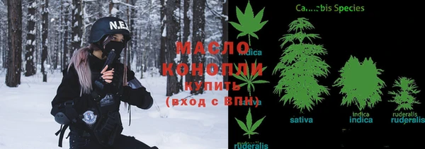 мдпв Осташков