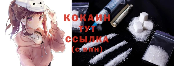 мдпв Осташков