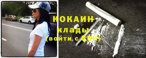 мдпв Осташков