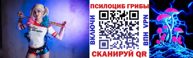 блэк спрут онион  где найти наркотики  Почеп  Галлюциногенные грибы MAGIC MUSHROOMS 